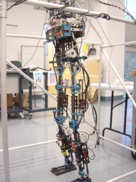 M2: Bipedal Robot